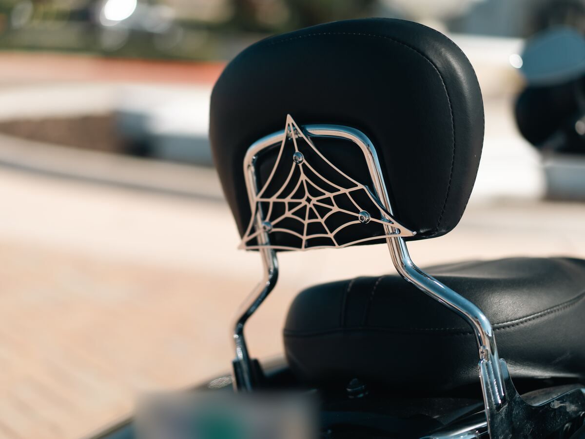 The Black Widow on the backrest, close up